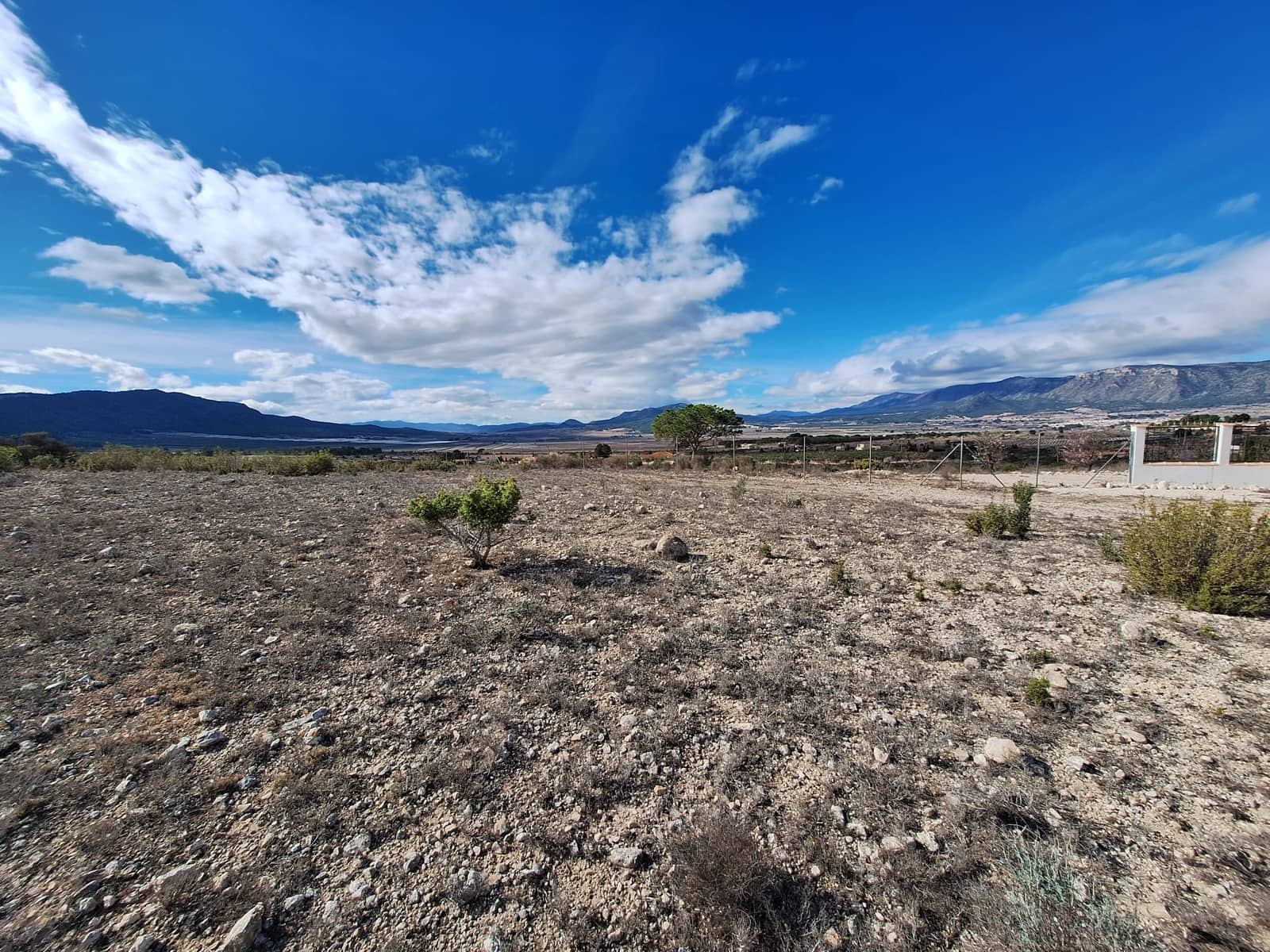 Mark till salu i Salinas - 55 000 € (Ref: 9471143)