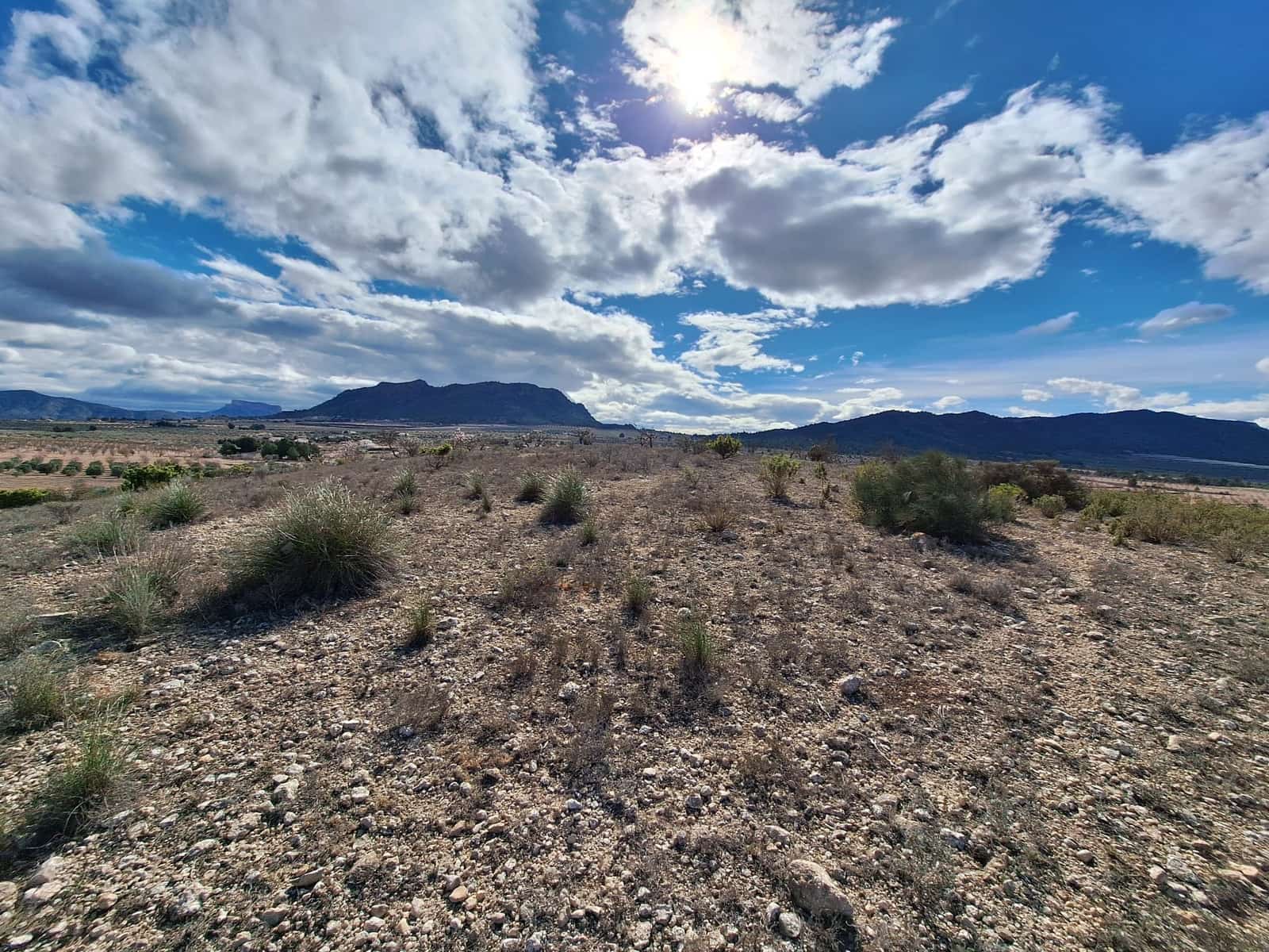 Mark till salu i Salinas - 55 000 € (Ref: 9471143)