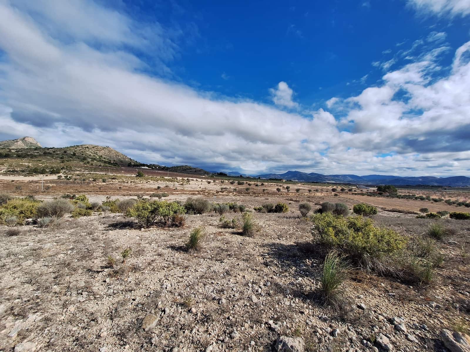 Mark till salu i Salinas - 55 000 € (Ref: 9471143)