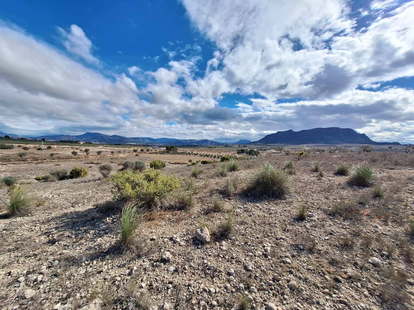 Mark till salu i Salinas - 55 000 € (Ref: 9471143)