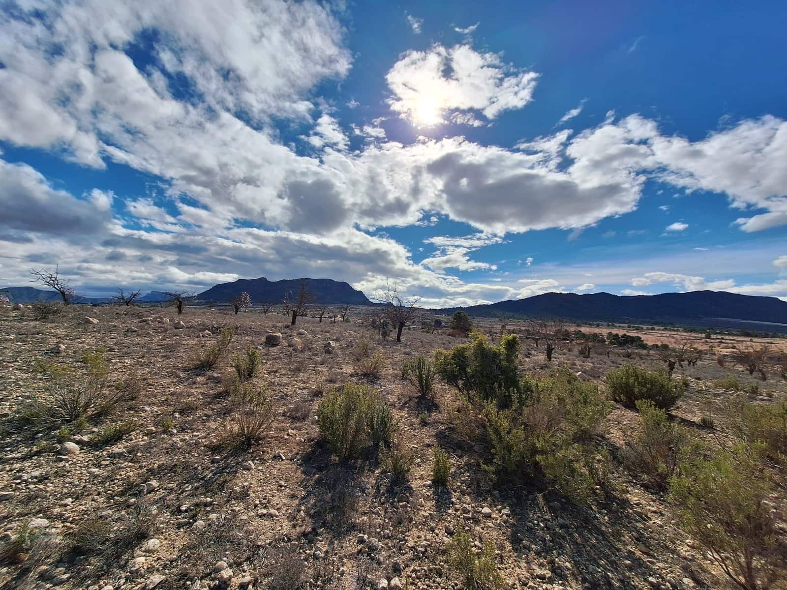 Mark till salu i Salinas - 55 000 € (Ref: 9471143)