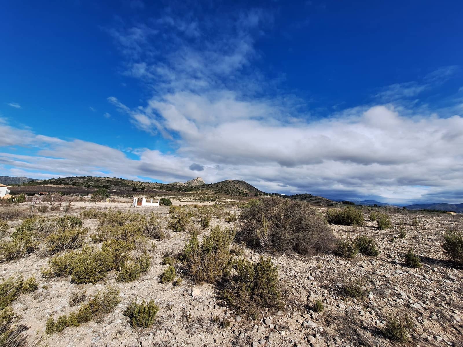 Mark till salu i Salinas - 55 000 € (Ref: 9471143)