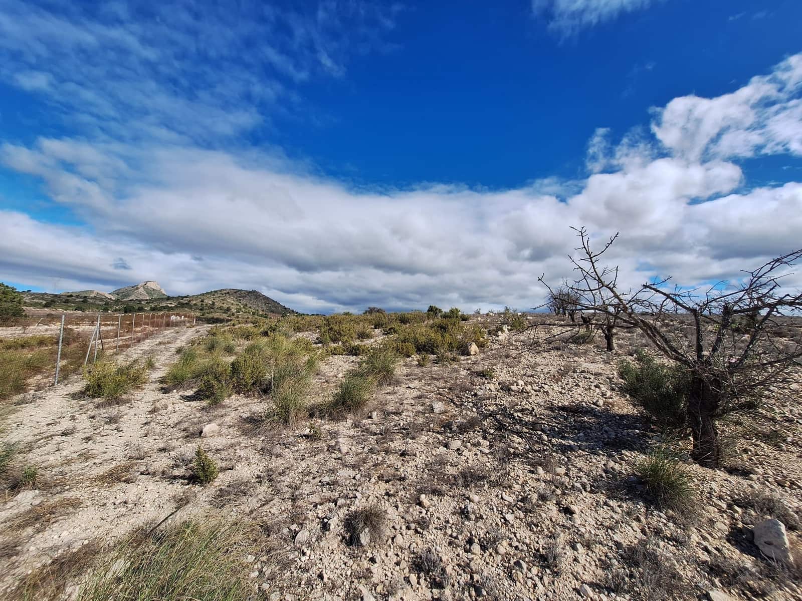 Mark till salu i Salinas - 55 000 € (Ref: 9471143)