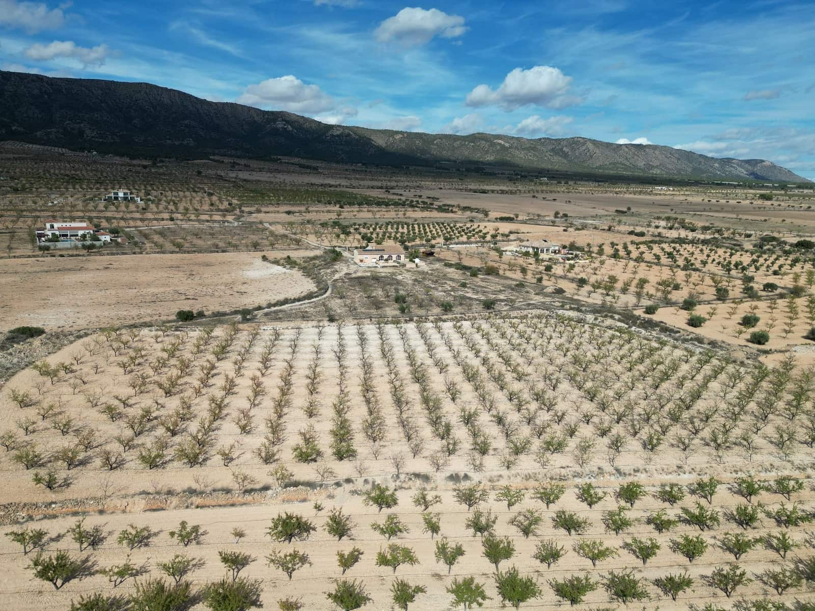 Teren niezagospodarowany na sprzedaż w Pinoso - 49 500 € (Ref: 9471145)