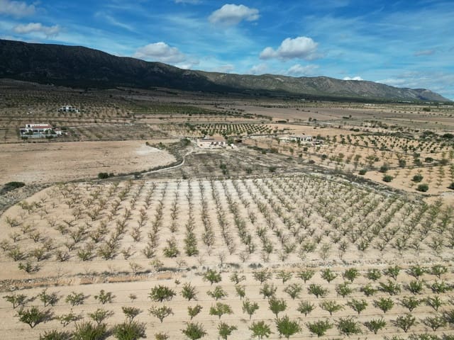 Teren niezagospodarowany na sprzedaż w Pinoso - 49 500 € (Ref: 9471145)