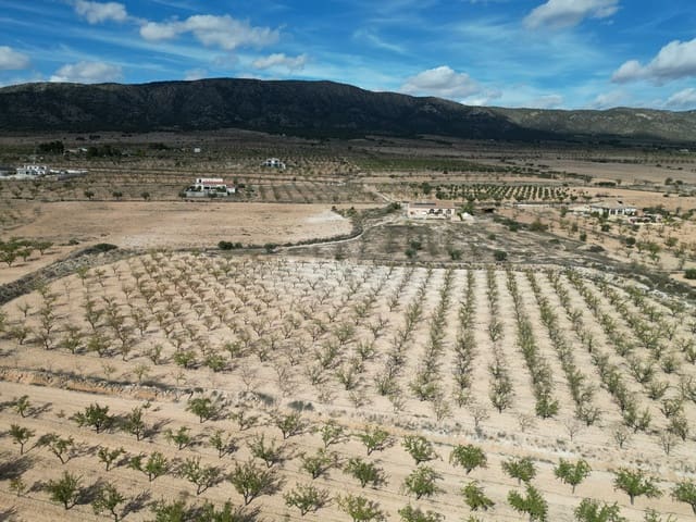 Teren niezagospodarowany na sprzedaż w Pinoso - 49 500 € (Ref: 9471145)