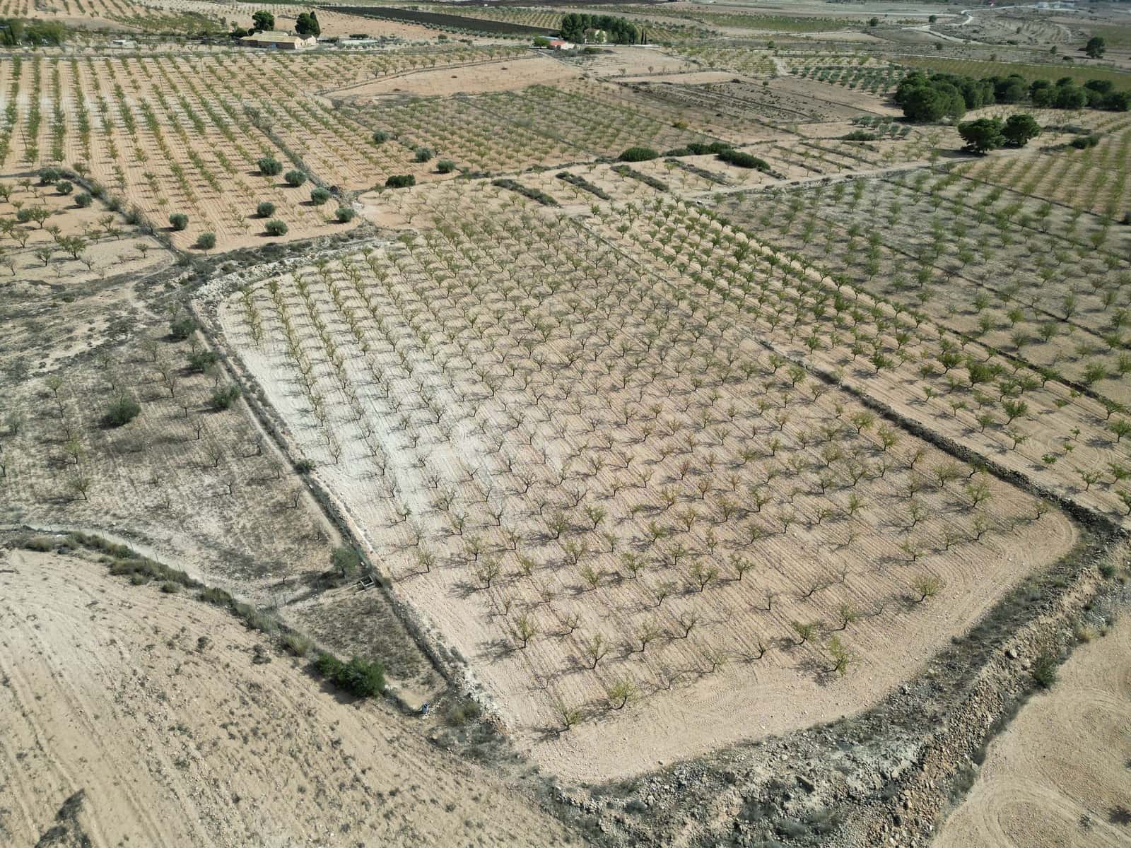 Teren niezagospodarowany na sprzedaż w Pinoso - 49 500 € (Ref: 9471145)