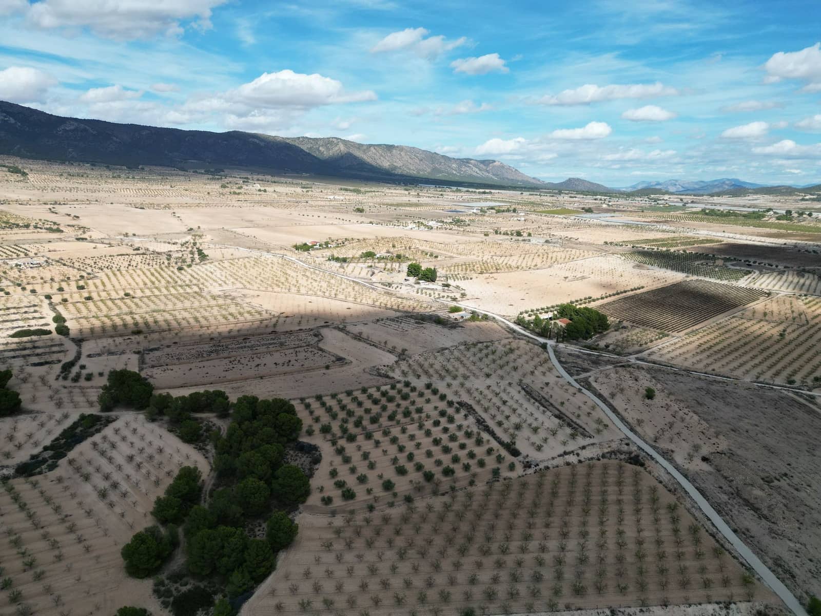 Terreno Não Urbanizado para venda em Pinoso - 49 500 € (Ref: 9471146)