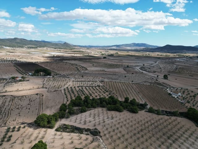 Terreno Não Urbanizado para venda em Pinoso - 49 500 € (Ref: 9471146)