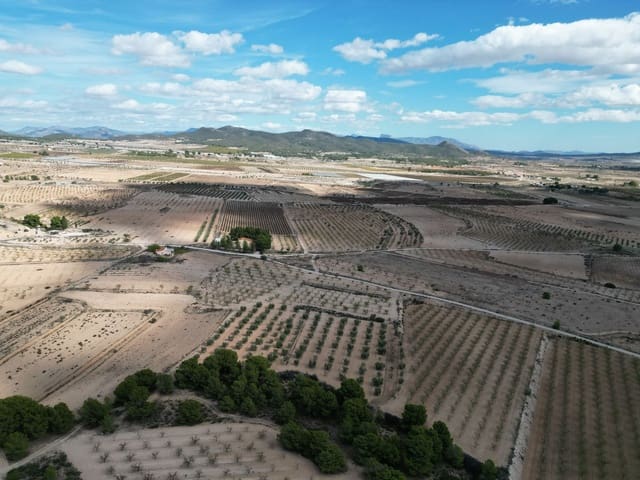 Terreno Não Urbanizado para venda em Pinoso - 49 500 € (Ref: 9471146)