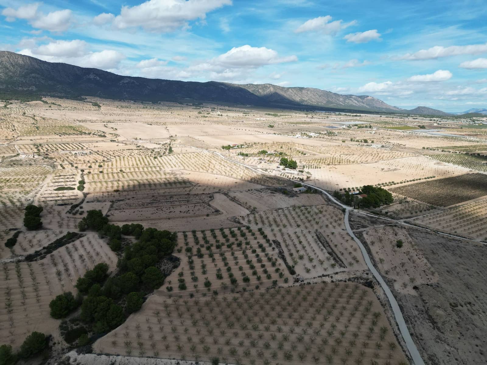 Terreno Não Urbanizado para venda em Pinoso - 49 500 € (Ref: 9471146)