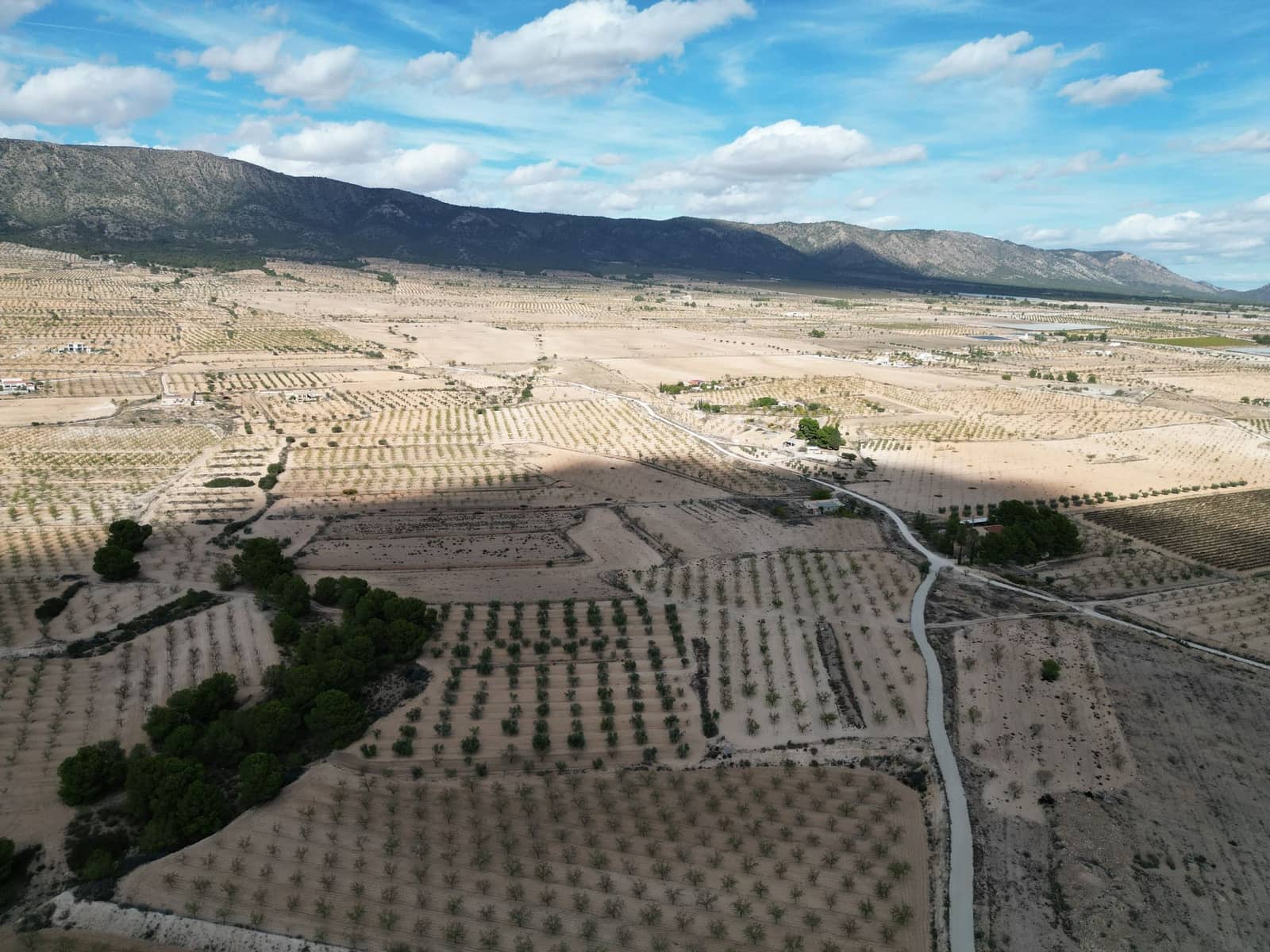 Terreno Não Urbanizado para venda em Pinoso - 49 500 € (Ref: 9471146)