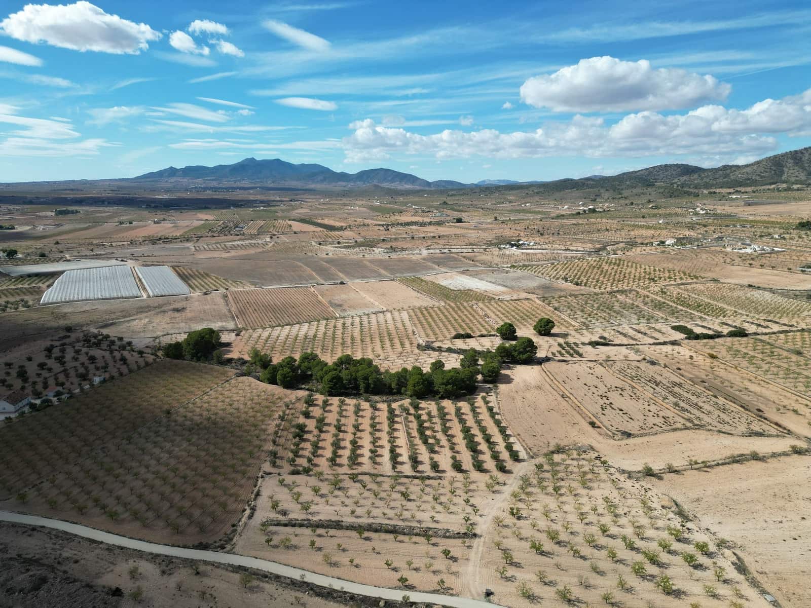 Terreno Não Urbanizado para venda em Pinoso - 49 500 € (Ref: 9471146)