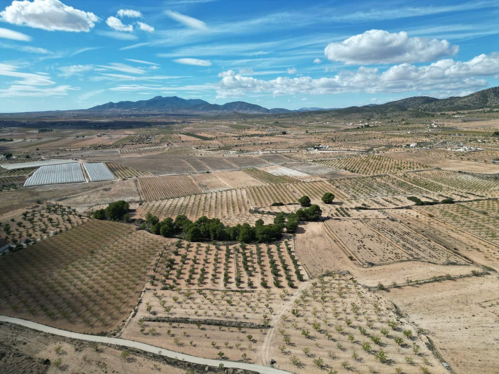 Terreno Não Urbanizado para venda em Pinoso - 49 500 € (Ref: 9471146)