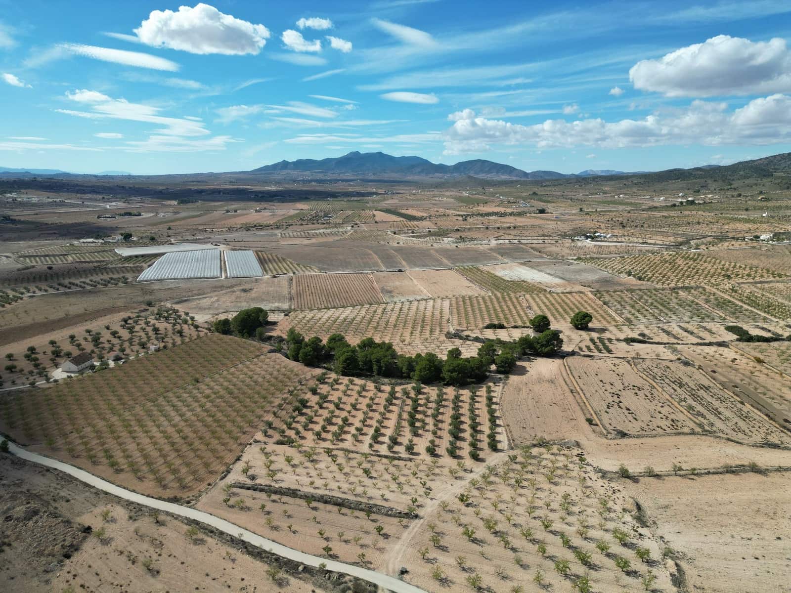 Terreno Não Urbanizado para venda em Pinoso - 49 500 € (Ref: 9471146)