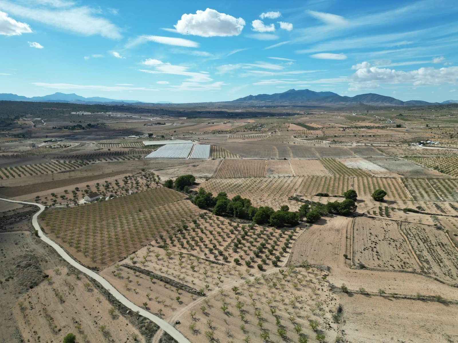 Terreno Não Urbanizado para venda em Pinoso - 49 500 € (Ref: 9471146)