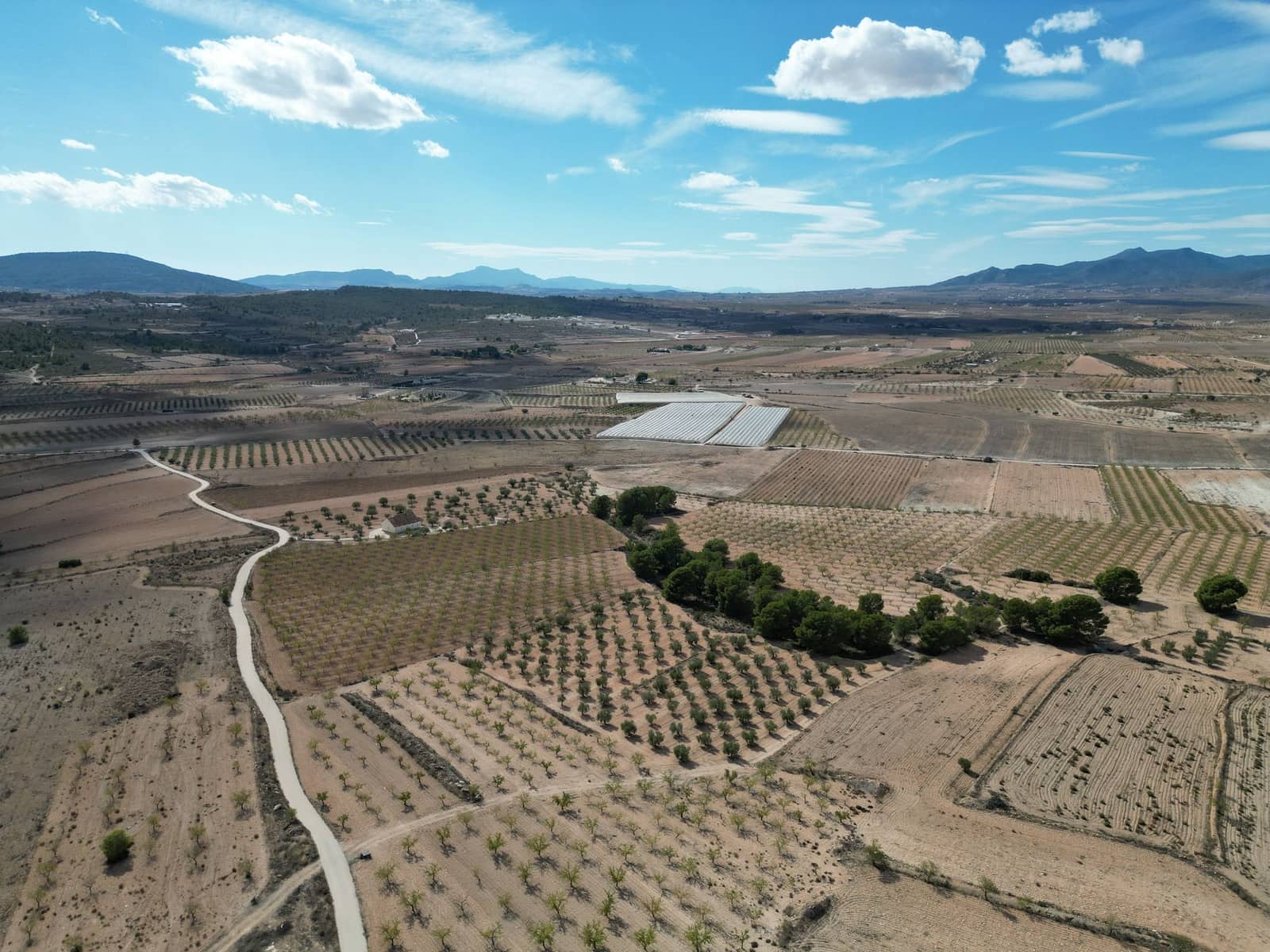 Terreno Não Urbanizado para venda em Pinoso - 49 500 € (Ref: 9471146)