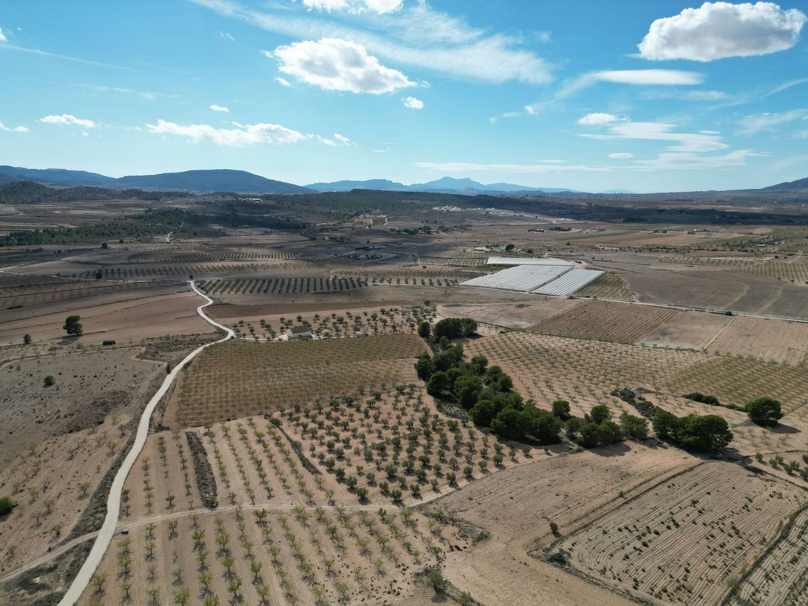 Terreno Não Urbanizado para venda em Pinoso - 49 500 € (Ref: 9471146)