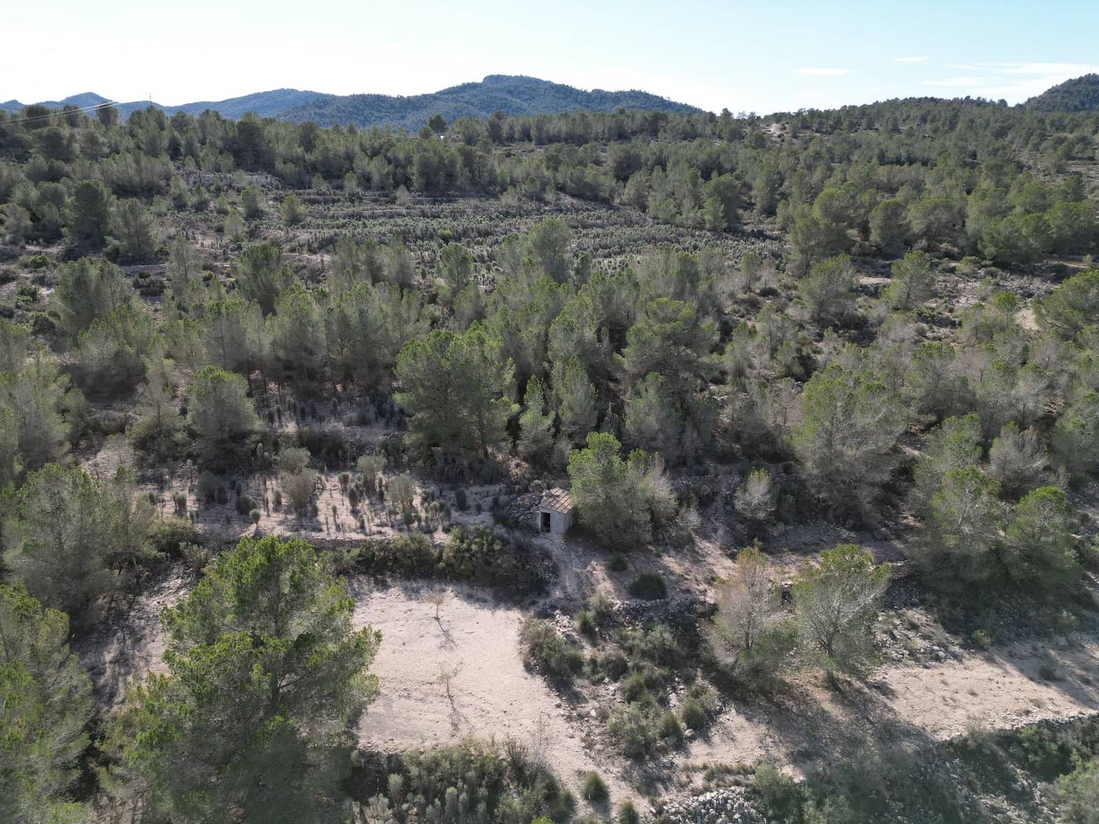 Terreno/Finca Rústica en Monóvar / Monóver en venta - 170.000 € (Ref: 9471149)