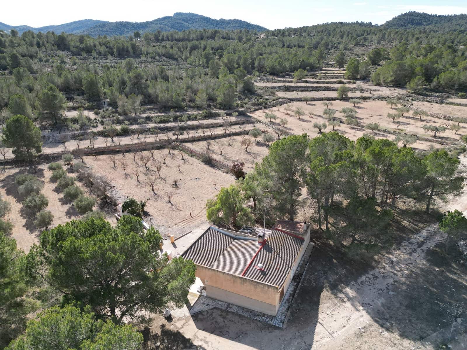 Terreno/Finca Rústica en Monóvar / Monóver en venta - 170.000 € (Ref: 9471149)