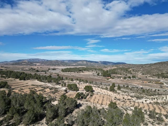 Terreno/Finca Rústica en Monóvar / Monóver en venta - 170.000 € (Ref: 9471149)