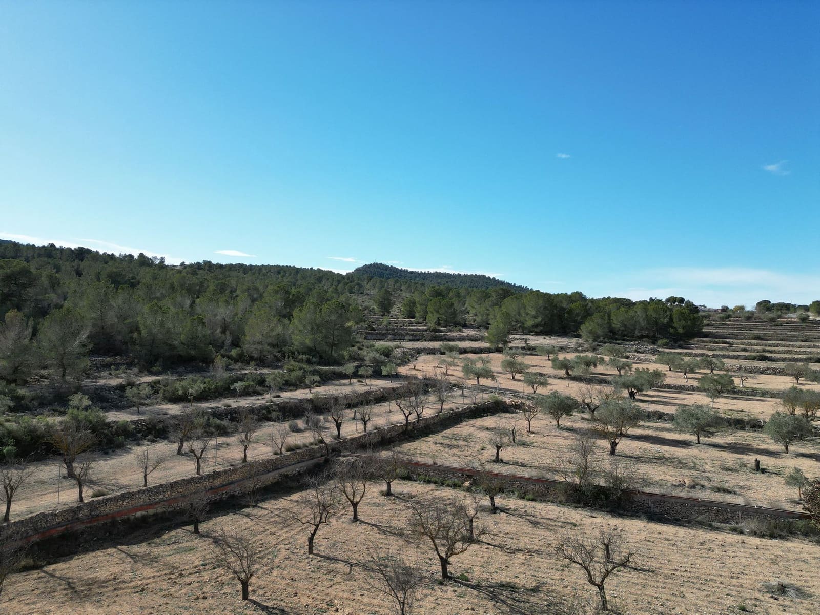 Terreno/Finca Rústica en Monóvar / Monóver en venta - 170.000 € (Ref: 9471149)