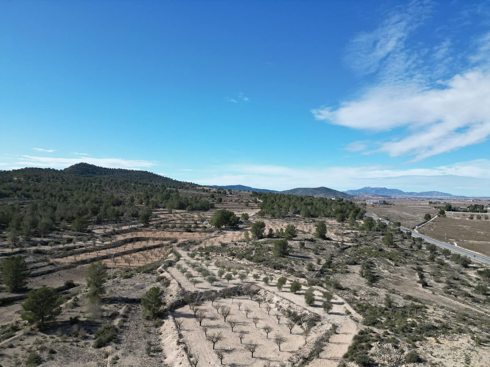 Terreno/Finca Rústica en Monóvar / Monóver en venta - 170.000 € (Ref: 9471149)