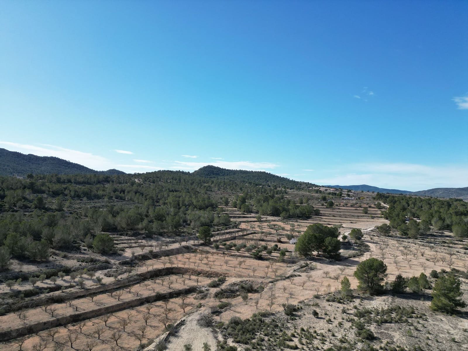 Terreno/Finca Rústica en Monóvar / Monóver en venta - 170.000 € (Ref: 9471149)