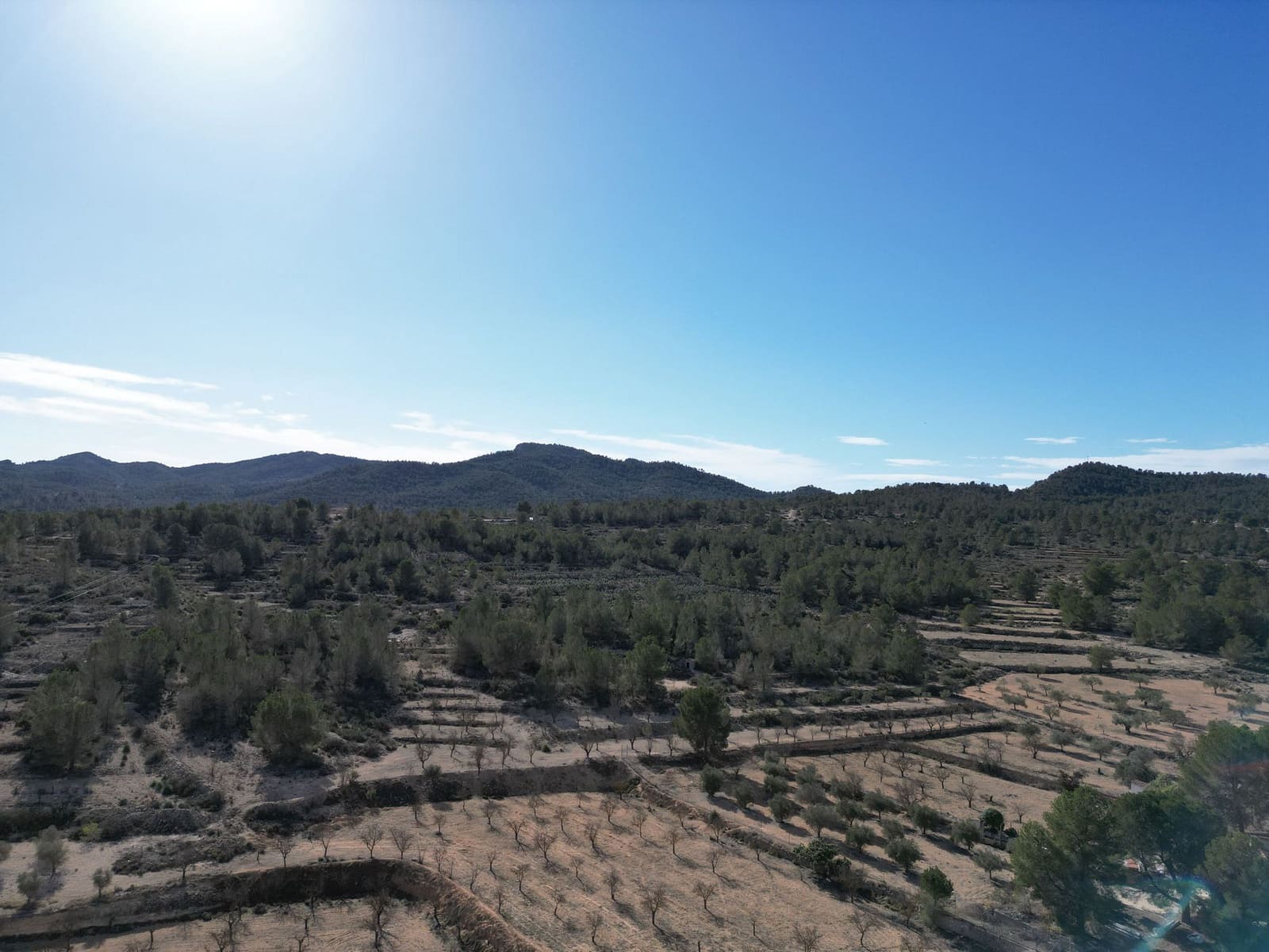 Terreno/Finca Rústica en Monóvar / Monóver en venta - 170.000 € (Ref: 9471149)