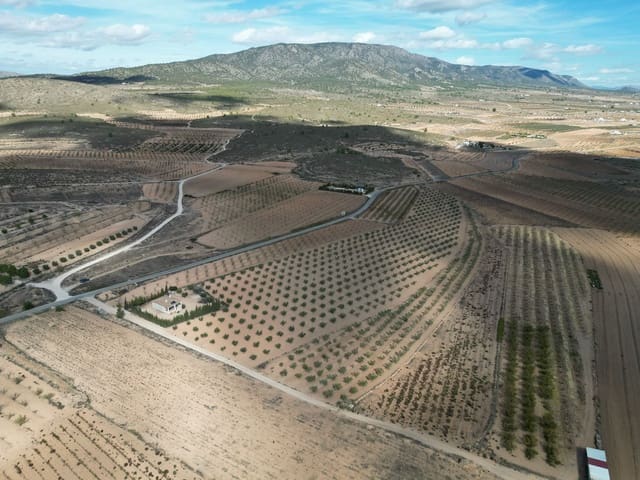 Mark till salu i Lel, Pinoso - 54 995 € (Ref: 9471152)