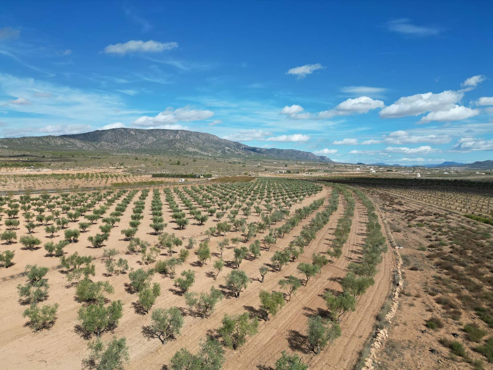 Mark till salu i Lel - 54 995 € (Ref: 9471152)