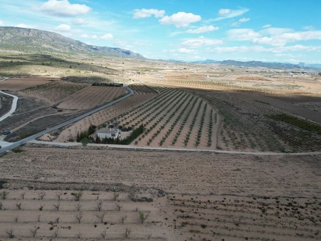 Mark till salu i Lel, Pinoso - 54 995 € (Ref: 9471152)