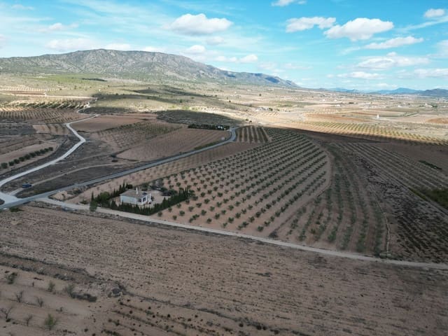 Mark till salu i Lel, Pinoso - 54 995 € (Ref: 9471152)