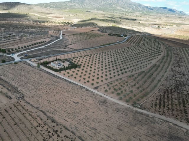 Mark till salu i Lel, Pinoso - 54 995 € (Ref: 9471152)