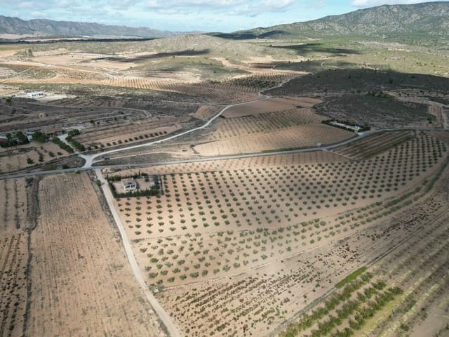 Mark till salu i Lel, Pinoso - 54 995 € (Ref: 9471152)