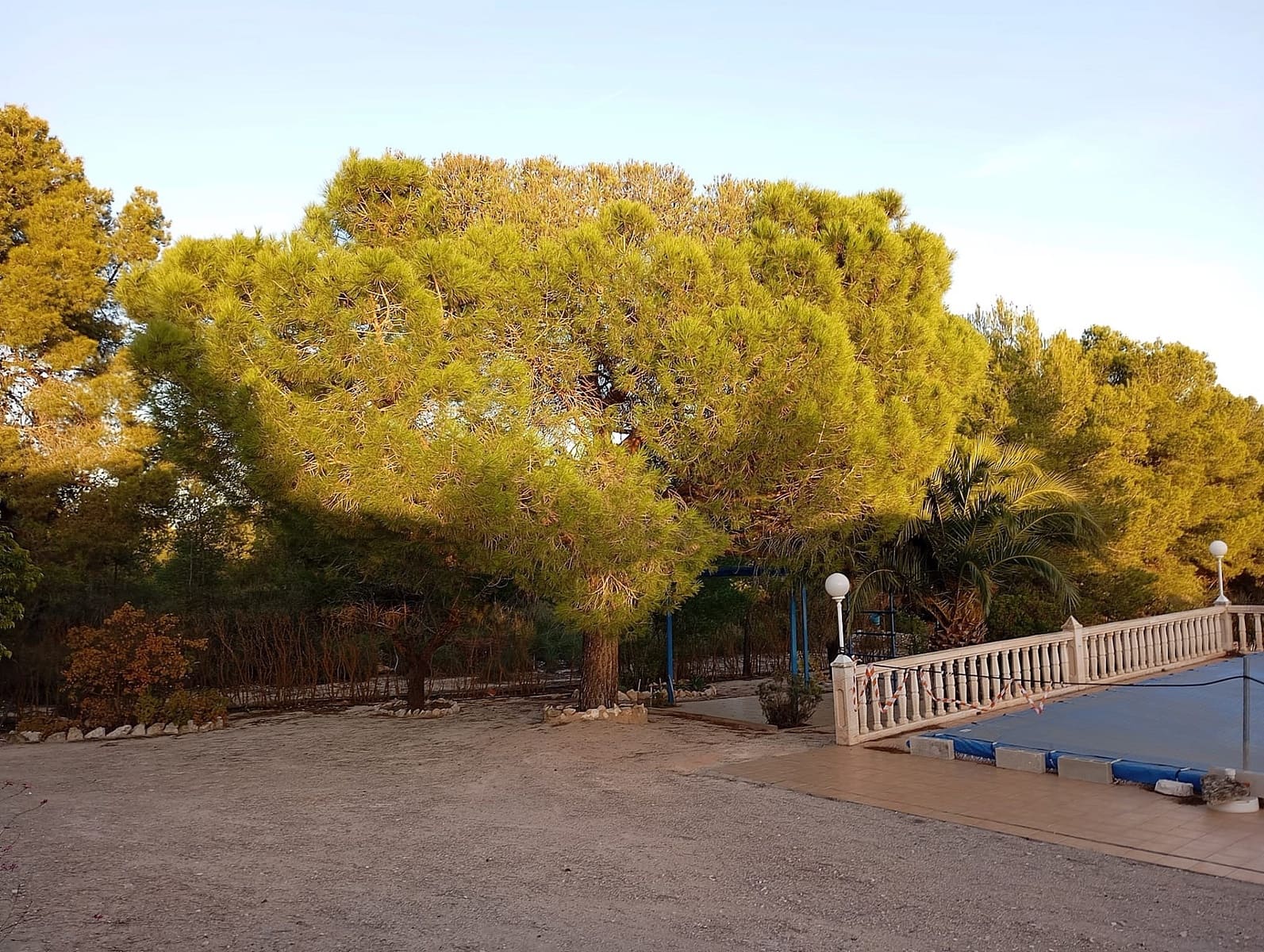 Finca/Casa Rural de 6 habitaciones en Yecla en venta con piscina garaje - 249.500 € (Ref: 9472242)