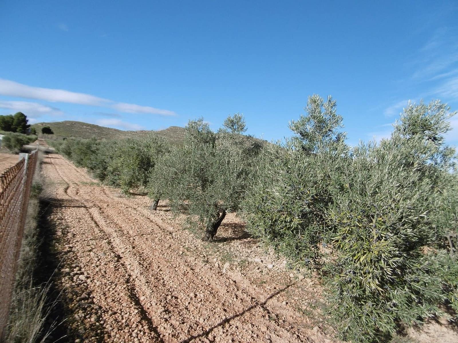 2 bedroom Finca/Country House for sale in Yecla with pool - € 128,900 (Ref: 9473859)