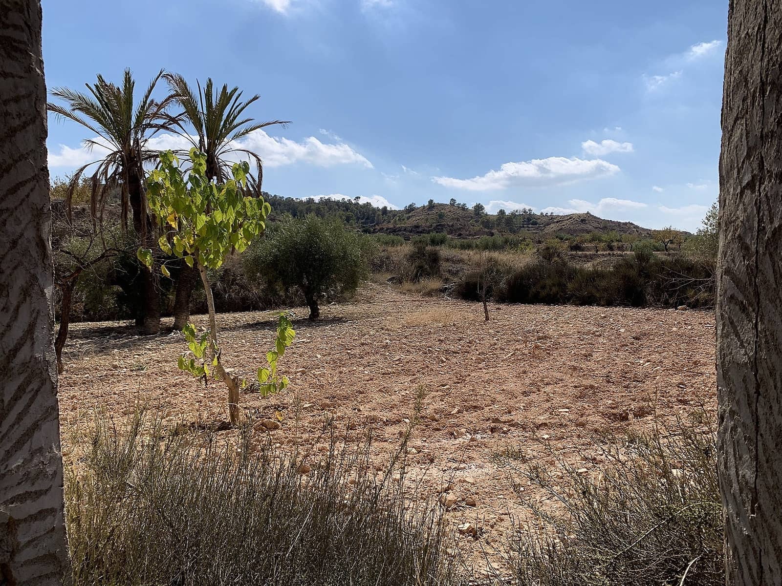 5 slaapkamer Grotwoning te koop in Macisvenda met zwembad - € 29.000 (Ref: 9475361)