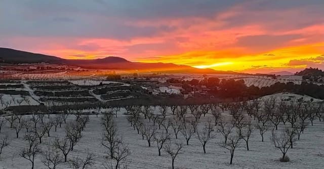 4 soveværelse Finca/Landehus til salg i Jumilla med swimmingpool garage - € 225.000 (Ref: 9475364)