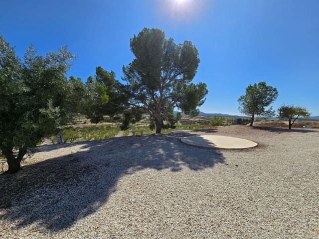 4 soveværelse Finca/Landehus til salg i Jumilla med swimmingpool garage - € 225.000 (Ref: 9475364)