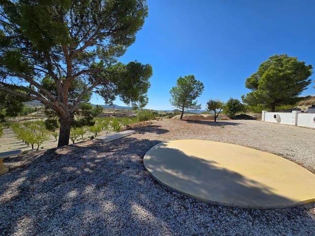 4 soveværelse Finca/Landehus til salg i Jumilla med swimmingpool garage - € 225.000 (Ref: 9475364)