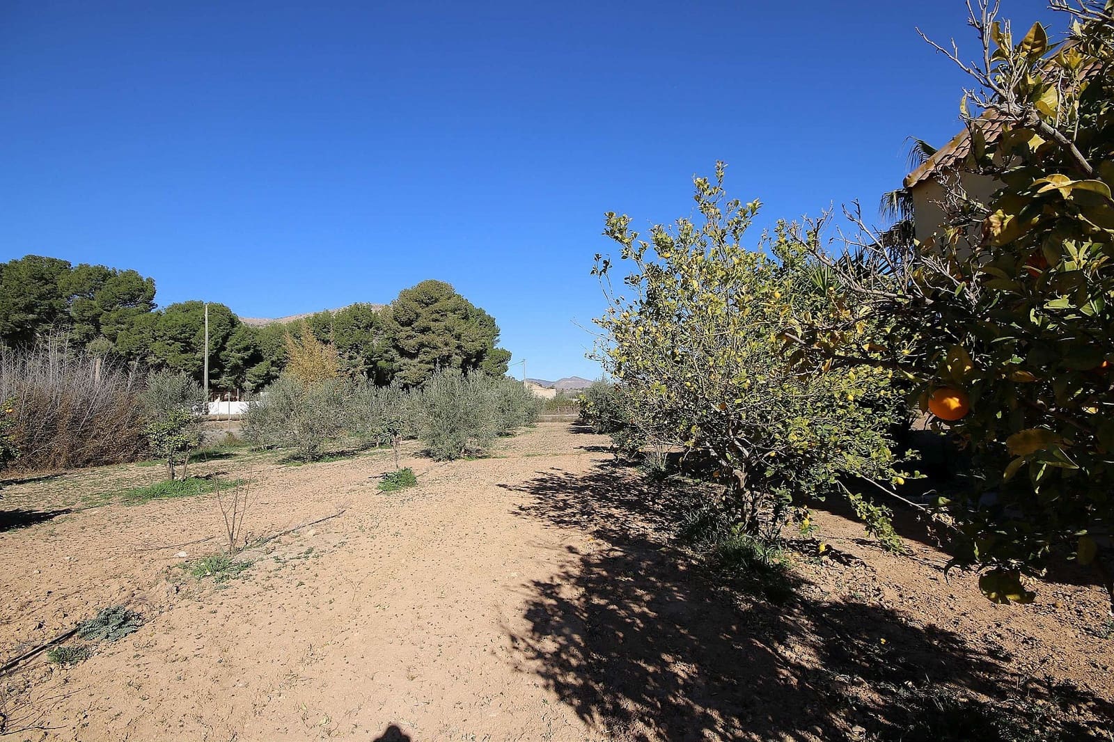 5 bedroom Villa for sale in Aspe with pool - € 449,000 (Ref: 9478576)