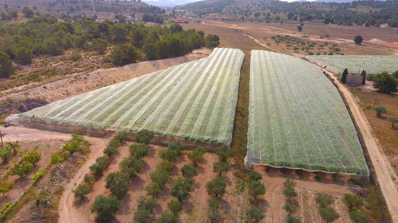 6 bedroom Commercial for sale in Monovar / Monover with pool garage - € 669,995 (Ref: 9478590)