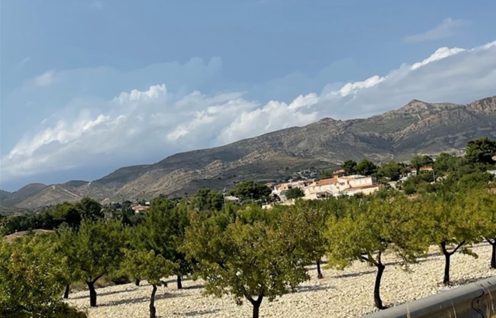 Local Comercial de 6 habitaciones en Alicante / Alacant ciudad en venta con piscina garaje - 499.995 € (Ref: 9478594)