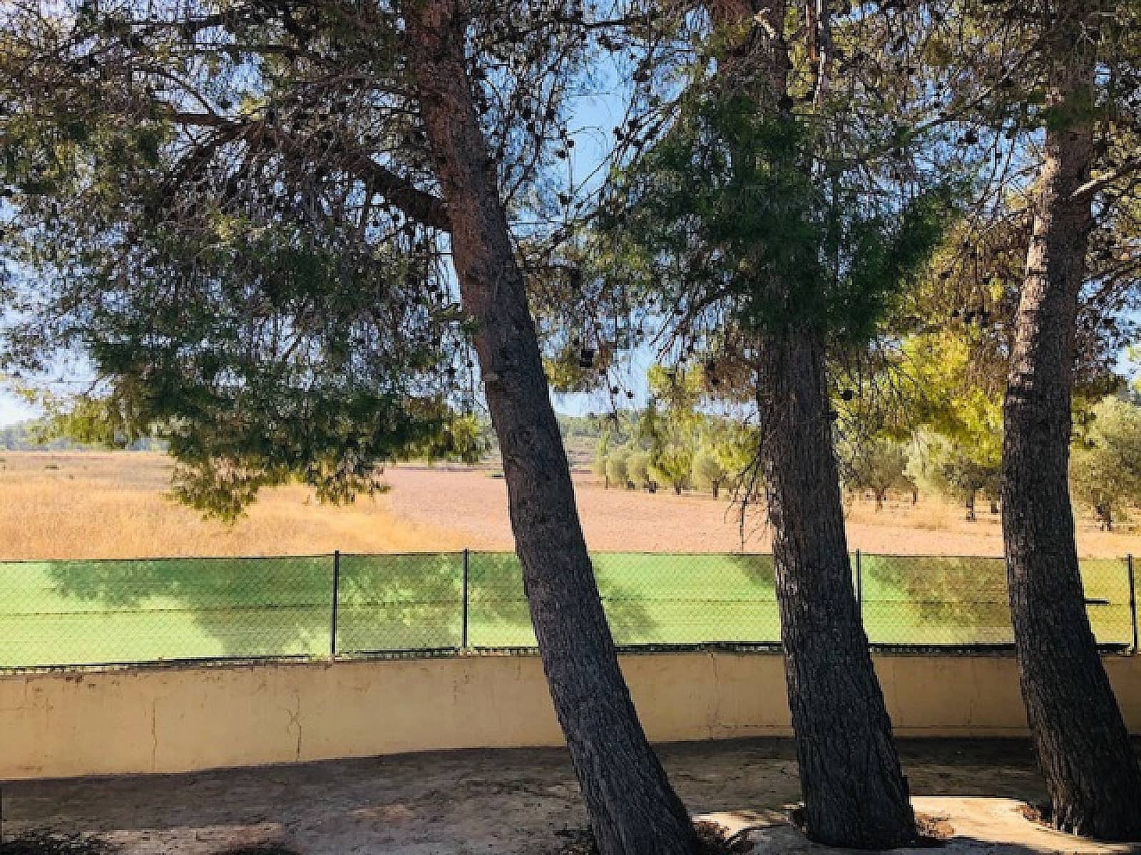 4 Zimmer Finca/Landgut zu verkaufen in Yecla mit Pool - 151.000 € (Ref: 9478602)