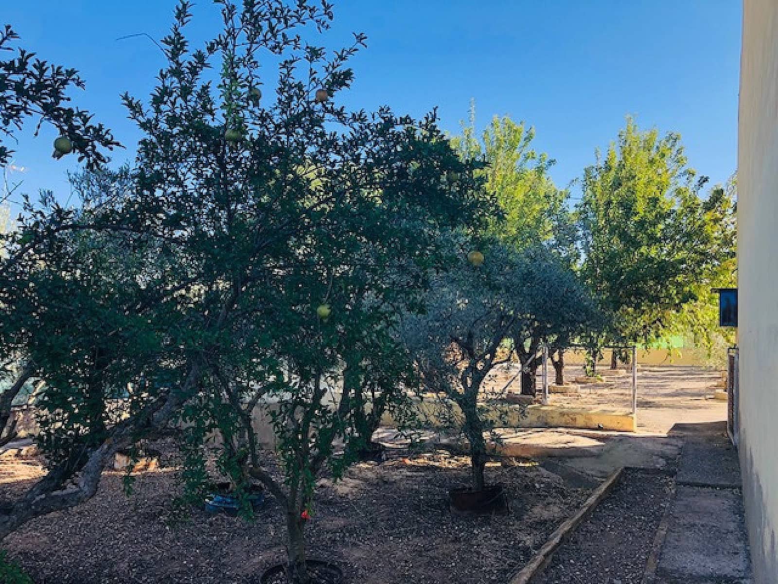 4 Zimmer Finca/Landgut zu verkaufen in Yecla mit Pool - 151.000 € (Ref: 9478602)