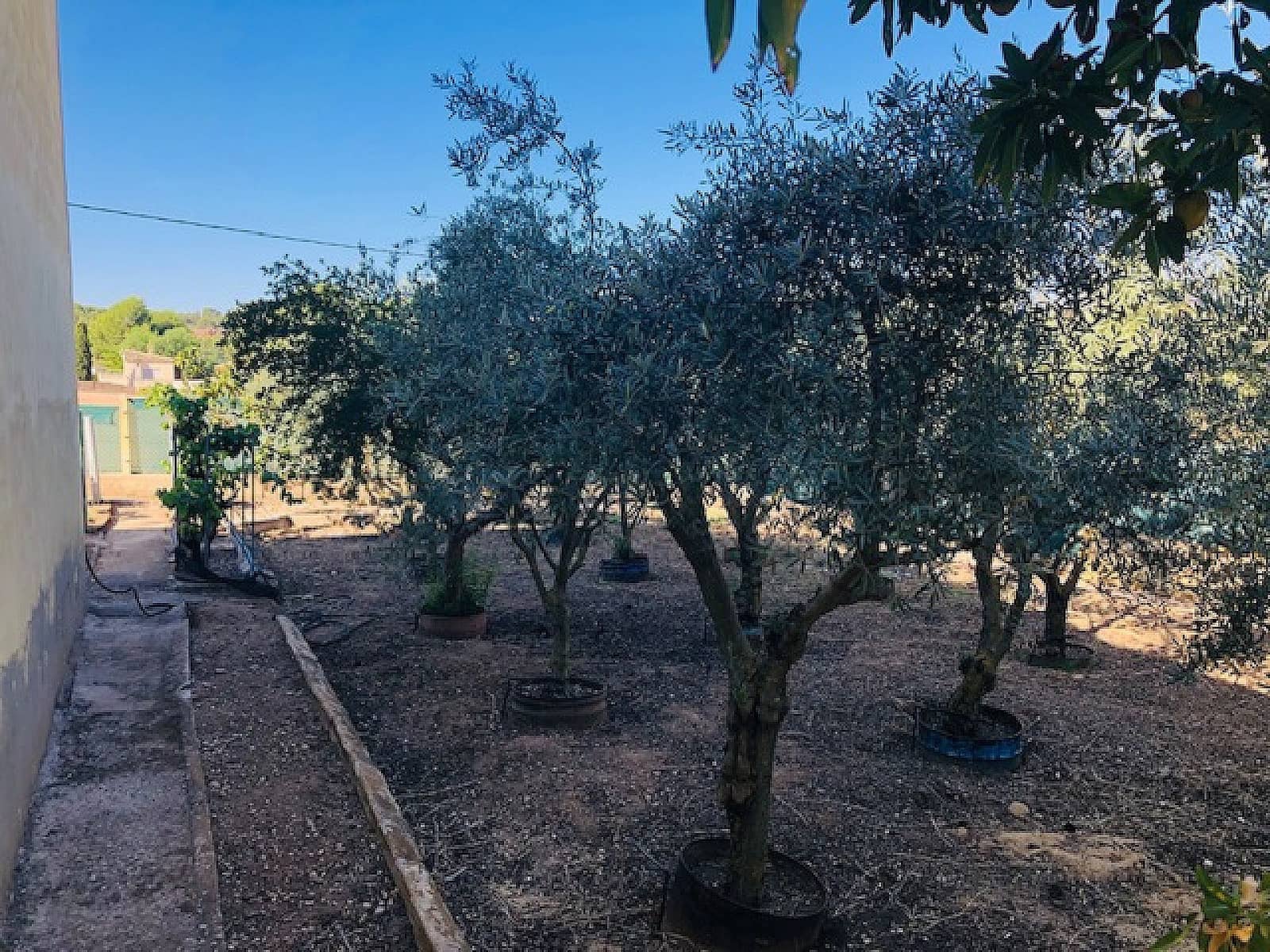 4 Zimmer Finca/Landgut zu verkaufen in Yecla mit Pool - 151.000 € (Ref: 9478602)