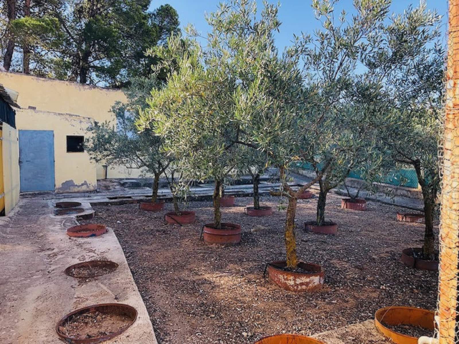 4 Zimmer Finca/Landgut zu verkaufen in Yecla mit Pool - 151.000 € (Ref: 9478602)