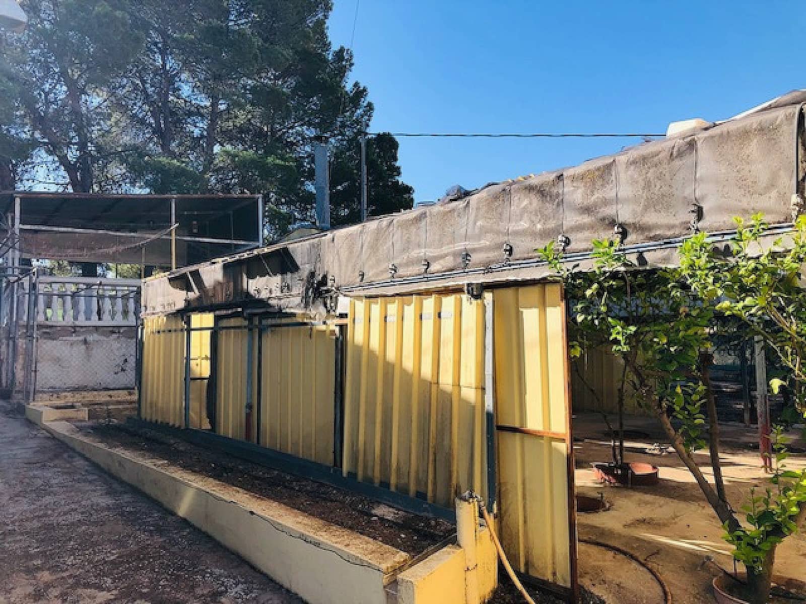 4 Zimmer Finca/Landgut zu verkaufen in Yecla mit Pool - 151.000 € (Ref: 9478602)