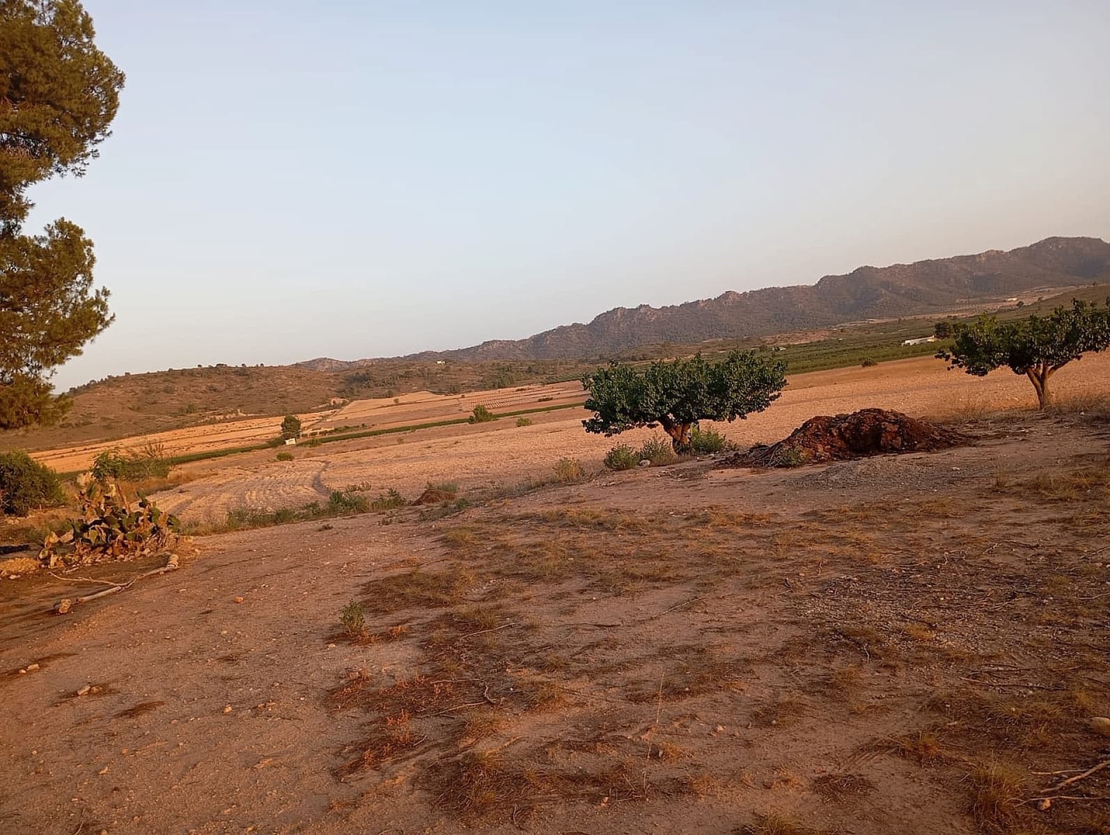 Finca/Casa Rural de 3 habitaciones en Yecla en venta con piscina garaje - 315.000 € (Ref: 9478604)